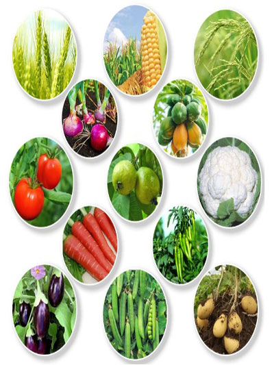Crop boon 85 250 ml
