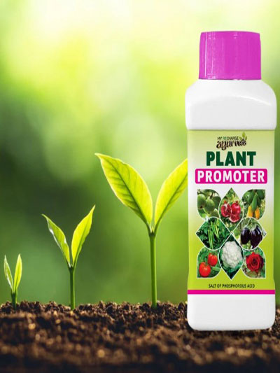 Plant promoter 250 ml